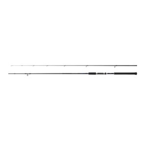 Rod Salty Advance Spinning Sea