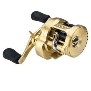 Reel Calcutta Conquest A