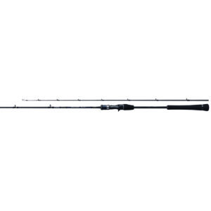 Rod Game Type Light Jig Cast