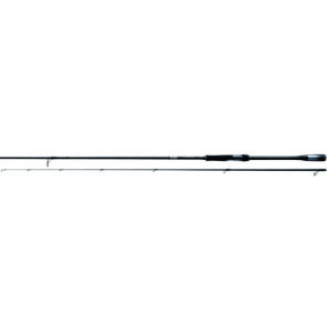 Rod Lunamis Spinning Inshore