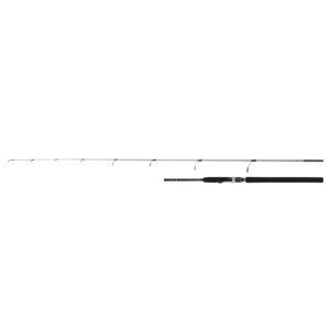 Rod Speedmaster R Jigging Spin