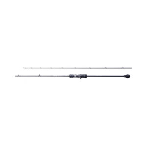 Rod Game Type Slow Jig Cast
